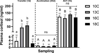 Increased Thermal Challenges Differentially Modulate Neural Plasticity and Stress Responses in Post-Smolt Atlantic Salmon (Salmo salar)